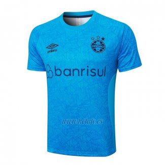 Camiseta de Entrenamiento Gremio 2024-2025 Azul