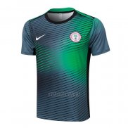 Camiseta de Entrenamiento Nigeria 2024-2025 Gris Verde