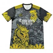 Tailandia Camiseta Real Madrid Dragon 2024-2025 Gris